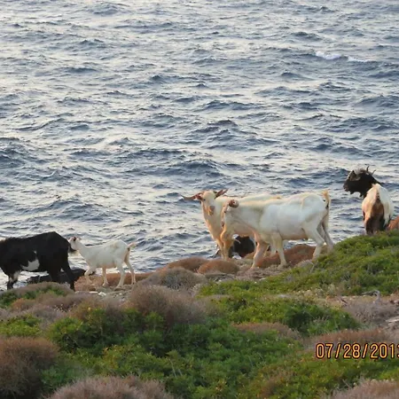 Villa Love Αγία Θεοδότη